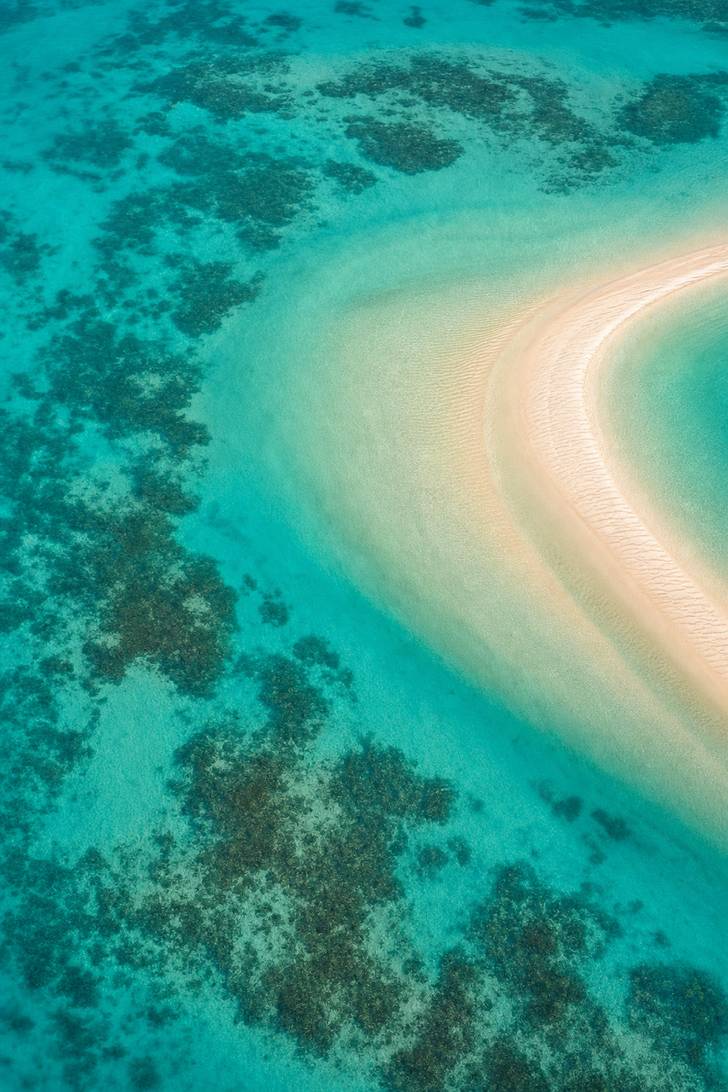 Aerial view of Florida grass flats and a sandbar